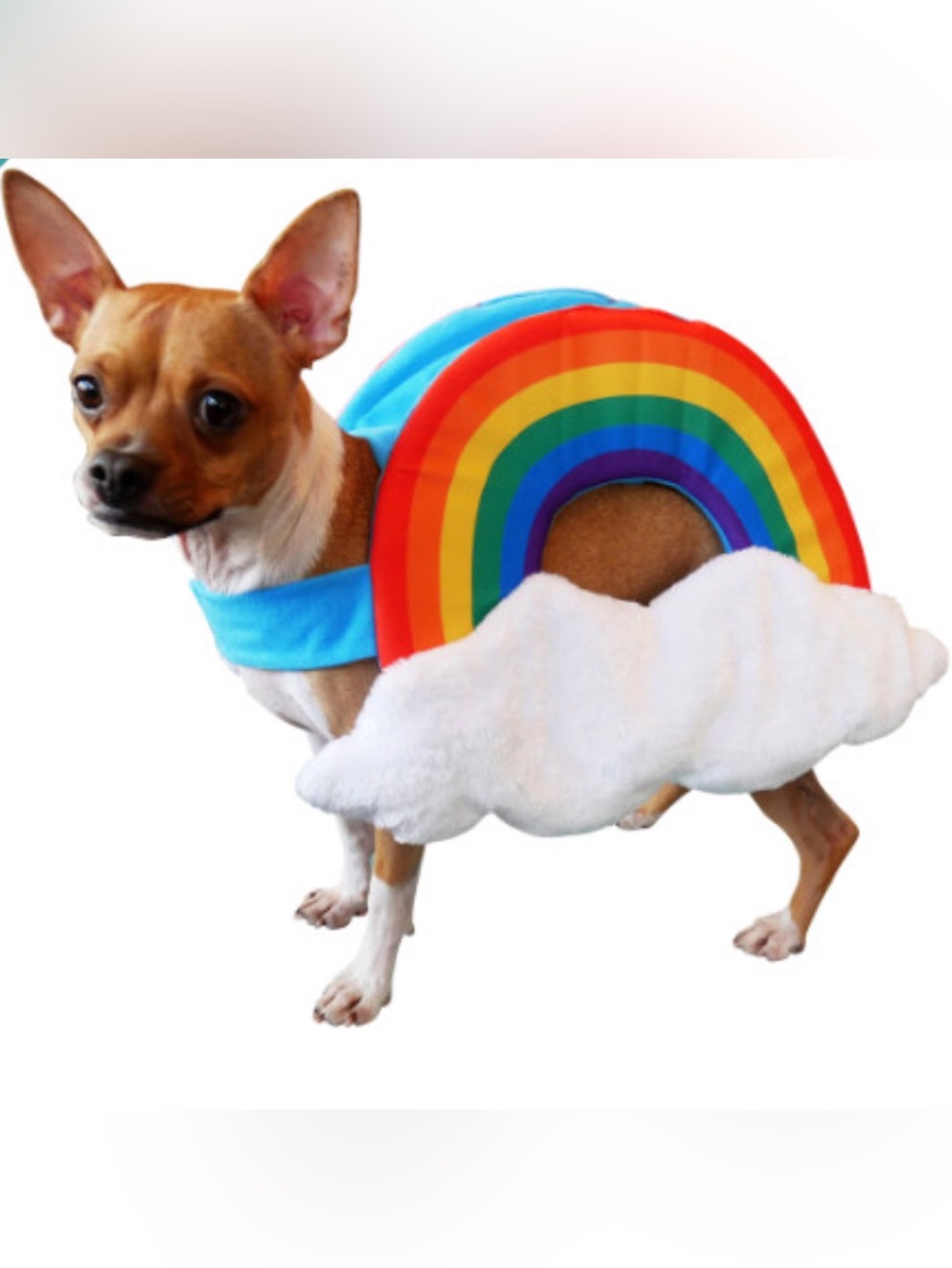 Size LARGE Rainbow with Soft Fluffy Clouds Dog Costume